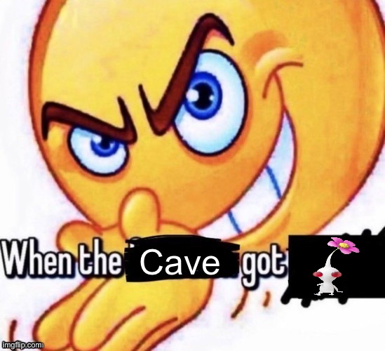When the X got X | Cave | image tagged in when the x got x | made w/ Imgflip meme maker