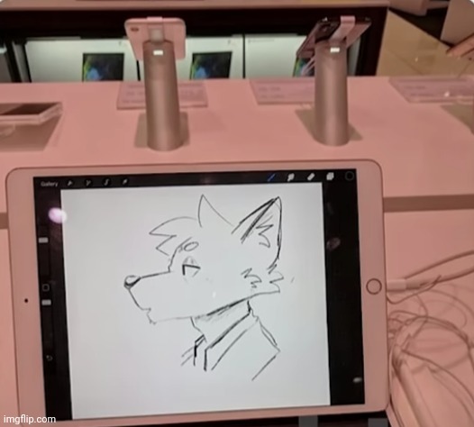 I found an apple store whose iPads I terrorized | image tagged in drawing,ipad | made w/ Imgflip meme maker