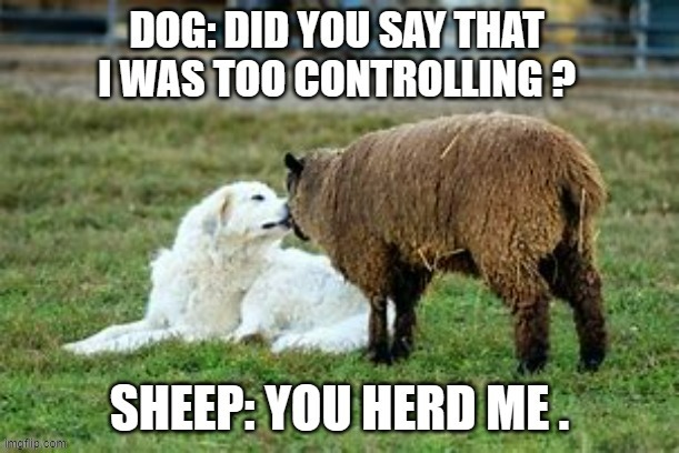 memes by Brad - sheep tells dog "you herd me". | image tagged in funny,dogs,fun,funny meme,sheep,humor | made w/ Imgflip meme maker