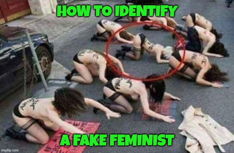 Fraud | HOW TO IDENTIFY; A FAKE FEMINIST | image tagged in feminism,feminist,angry feminist,fraud,submission,doggy | made w/ Imgflip meme maker