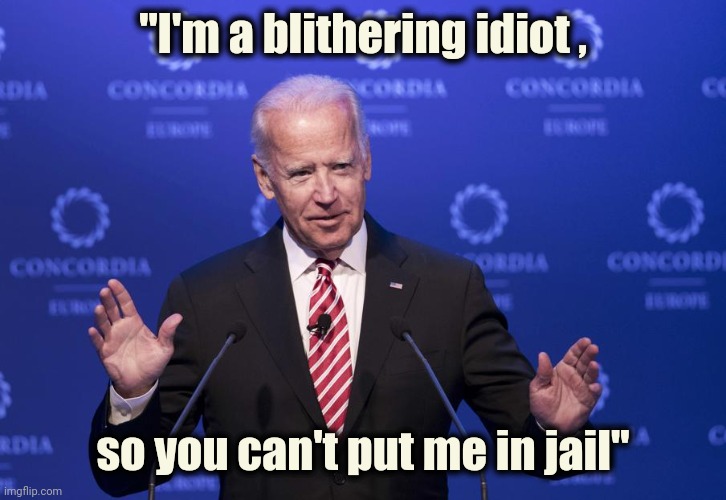 Joe Biden | "I'm a blithering idiot , so you can't put me in jail" | image tagged in joe biden | made w/ Imgflip meme maker