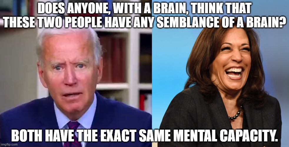 If these are the people Dems want running the country then clearly Dems lack the mental capacity to be allowed to vote. | DOES ANYONE, WITH A BRAIN, THINK THAT THESE TWO PEOPLE HAVE ANY SEMBLANCE OF A BRAIN? BOTH HAVE THE EXACT SAME MENTAL CAPACITY. | image tagged in stupidity reigns in the democrat party,morons,imbeciles | made w/ Imgflip meme maker
