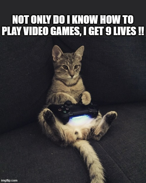 memes by Brad - My cat like to play video games | image tagged in funny,gaming,cats,video games,funny cat,humor | made w/ Imgflip meme maker