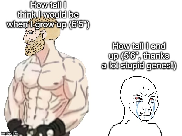 if your parents are tall, God has blessed you | How tall I think I would be when I grow up (6'5"); How tall I end up (5'6", thanks a lot stupid genes!) | image tagged in tall,height,short,short people,genetics,expectation vs reality | made w/ Imgflip meme maker