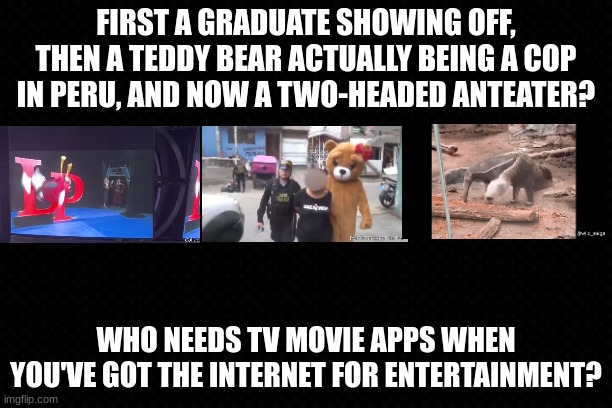 The Internet Is All I Need | FIRST A GRADUATE SHOWING OFF, THEN A TEDDY BEAR ACTUALLY BEING A COP IN PERU, AND NOW A TWO-HEADED ANTEATER? WHO NEEDS TV MOVIE APPS WHEN YOU'VE GOT THE INTERNET FOR ENTERTAINMENT? | image tagged in internet,youtube,crazy,funny | made w/ Imgflip meme maker