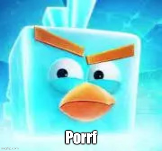 Porrf | image tagged in ice bird | made w/ Imgflip meme maker