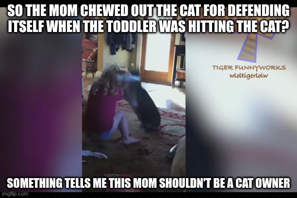 This Toddler Got What She Deserved For Hitting The Cat | SO THE MOM CHEWED OUT THE CAT FOR DEFENDING ITSELF WHEN THE TODDLER WAS HITTING THE CAT? SOMETHING TELLS ME THIS MOM SHOULDN'T BE A CAT OWNER | image tagged in cats,kids these days,mom and daughter,rude,funny,not funny | made w/ Imgflip meme maker