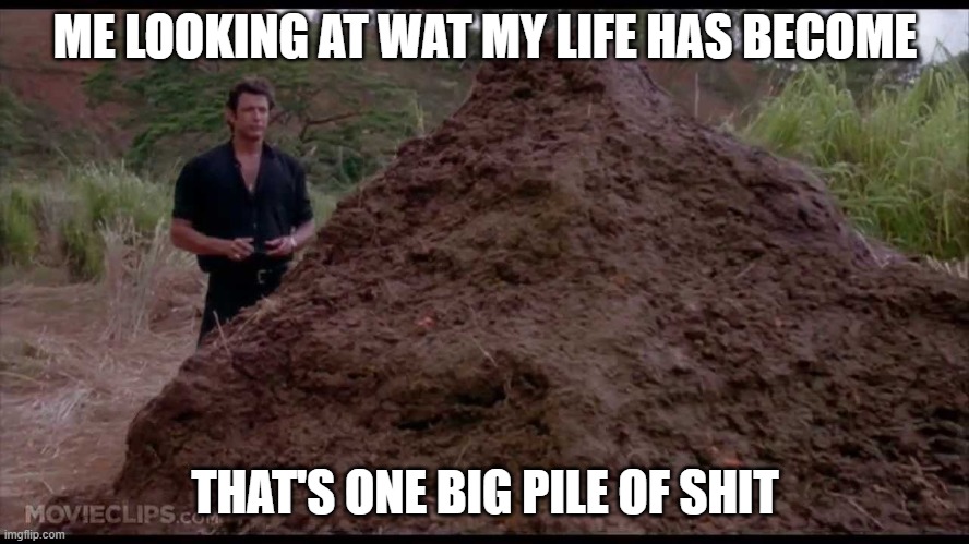 That is one big pile of life | ME LOOKING AT WAT MY LIFE HAS BECOME; THAT'S ONE BIG PILE OF SHIT | image tagged in that is one big pile of shit,life | made w/ Imgflip meme maker