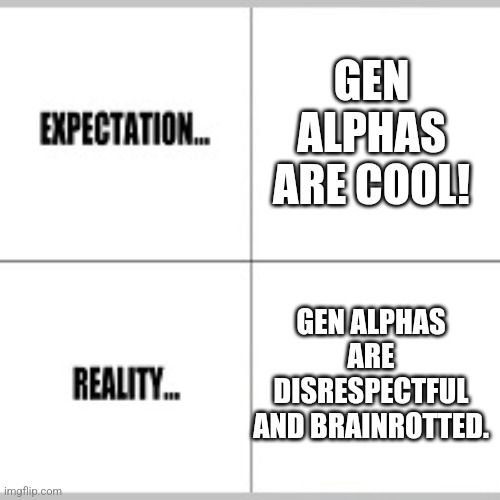 My brother is the perfect example. He screams gen alpha words and he spat in my eye, making it super itchy. | GEN ALPHAS ARE COOL! GEN ALPHAS ARE DISRESPECTFUL AND BRAINROTTED. | image tagged in expectation vs reality | made w/ Imgflip meme maker