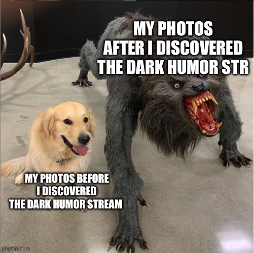 dog vs werewolf | MY PHOTOS AFTER I DISCOVERED THE DARK HUMOR STREAM; MY PHOTOS BEFORE I DISCOVERED THE DARK HUMOR STREAM | image tagged in dog vs werewolf | made w/ Imgflip meme maker