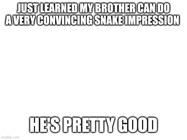 JUST LEARNED MY BROTHER CAN DO A VERY CONVINCING SNAKE IMPRESSION; HE'S PRETTY GOOD | made w/ Imgflip meme maker