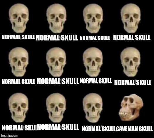 Repost this | NORMAL SKULL; NORMAL SKULL; NORMAL SKULL; NORMAL SKULL; NORMAL SKULL; NORMAL SKULL; NORMAL SKULL; NORMAL SKULL; NORMAL SKULL; CAVEMAN SKULL; NORMAL SKULL; NORMAL SKULL | image tagged in stop reading the tags | made w/ Imgflip meme maker