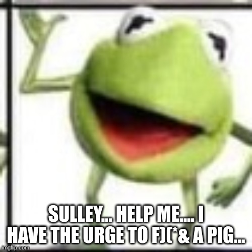 why... | SULLEY... HELP ME.... I HAVE THE URGE TO F)(*& A PIG... | image tagged in why | made w/ Imgflip meme maker