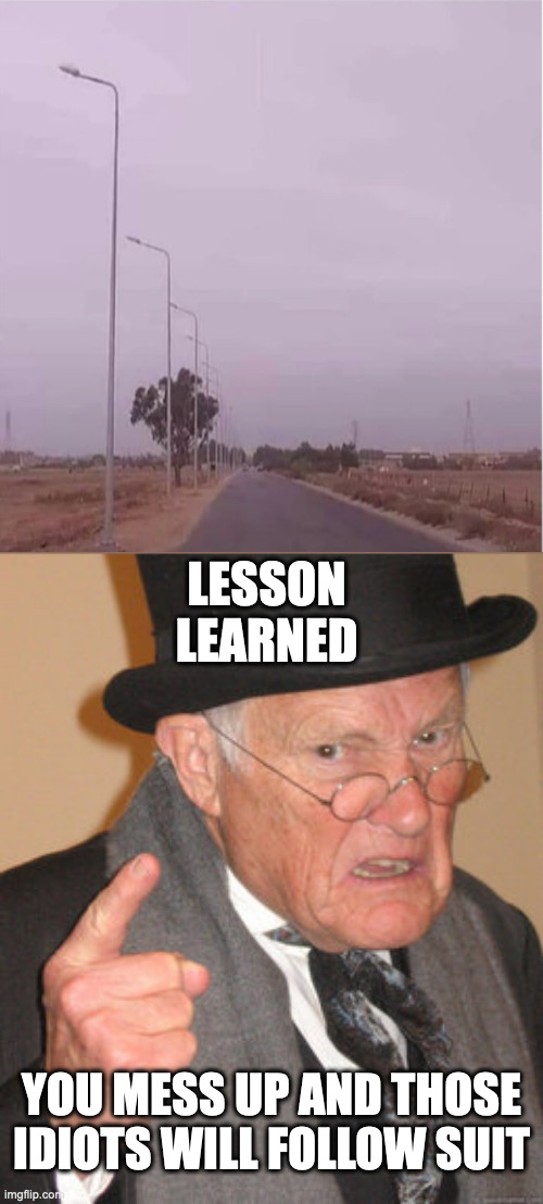 ? | LESSON LEARNED; YOU MESS UP AND THOSE IDIOTS WILL FOLLOW SUIT | image tagged in memes,back in my day | made w/ Imgflip meme maker