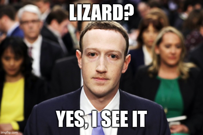 Mark Zuckerberg | LIZARD? YES, I SEE IT | image tagged in mark zuckerberg | made w/ Imgflip meme maker