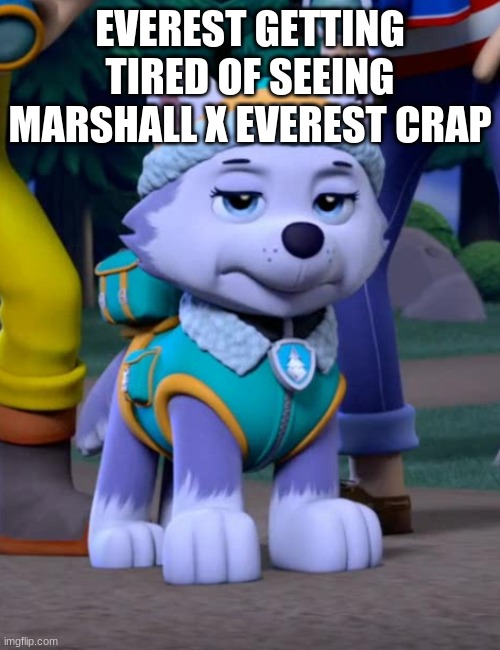 Angry Everest | EVEREST GETTING TIRED OF SEEING MARSHALL X EVEREST CRAP | image tagged in bad day everest paw patrol | made w/ Imgflip meme maker