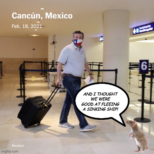 Ted Cruz Cancun | AND I THOUGHT WE WERE GOOD AT FLEEING A SINKING SHIP! | image tagged in ted cruz cancun | made w/ Imgflip meme maker