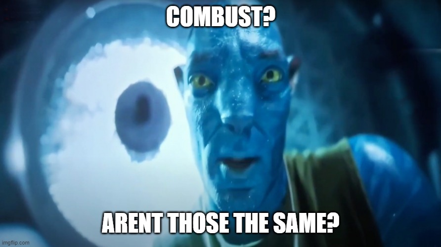 Staring Avatar Guy | COMBUST? ARENT THOSE THE SAME? | image tagged in staring avatar guy | made w/ Imgflip meme maker