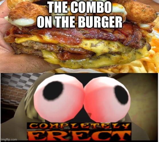 Combo meme | THE COMBO ON THE BURGER | image tagged in completely erect | made w/ Imgflip meme maker