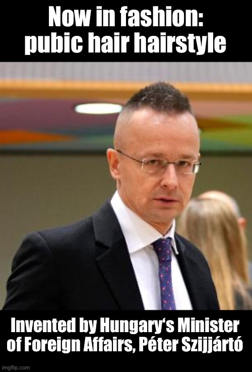 Now in fashion | Now in fashion: pubic hair hairstyle; Invented by Hungary‘s Minister of Foreign Affairs, Péter Szijjártó | image tagged in pubic hair hairstyle | made w/ Imgflip meme maker