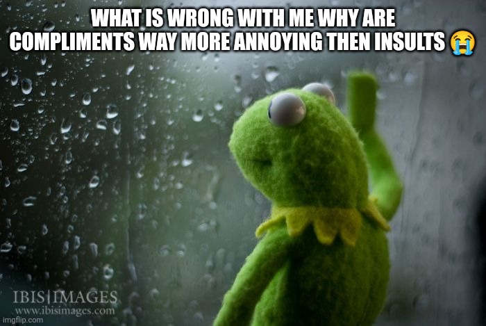 kermit window | WHAT IS WRONG WITH ME WHY ARE COMPLIMENTS WAY MORE ANNOYING THEN INSULTS 😭 | image tagged in kermit window | made w/ Imgflip meme maker