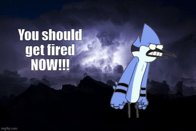 YOU SHOULD GET FIRED | image tagged in you should get fired | made w/ Imgflip meme maker