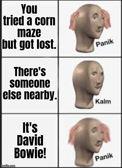 Damn you, Jareth... | You tried a corn maze but got lost. There's someone else nearby. It's David Bowie! | image tagged in panic calm panic,labyrinth,goblin,classic movies | made w/ Imgflip meme maker