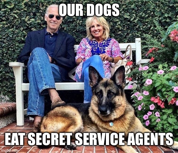 Biden's Dogs | OUR DOGS EAT SECRET SERVICE AGENTS | image tagged in biden's dogs | made w/ Imgflip meme maker