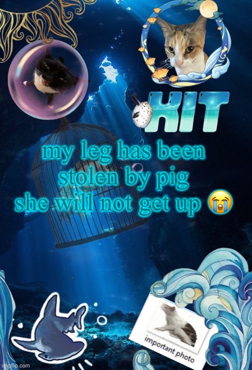 silly announcement template by asriel | my leg has been stolen by pig
she will not get up 😭 | image tagged in silly announcement template by asriel | made w/ Imgflip meme maker