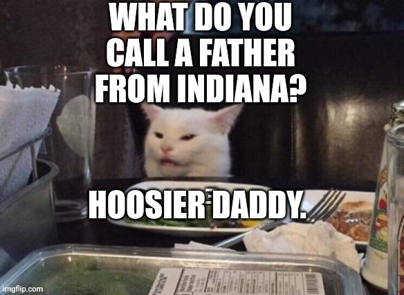 Smudge that darn cat | WHAT DO YOU CALL A FATHER FROM INDIANA? HOOSIER DADDY. | image tagged in smudge that darn cat | made w/ Imgflip meme maker