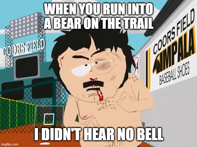 Alaska hiking | WHEN YOU RUN INTO A BEAR ON THE TRAIL; I DIDN'T HEAR NO BELL | image tagged in randy marsh i didn t hear no bell | made w/ Imgflip meme maker