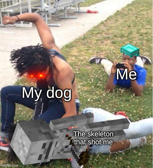 ha ha angry dog go woof woof | Me; My dog; The skeleton that shot me | image tagged in guy recording a fight | made w/ Imgflip meme maker