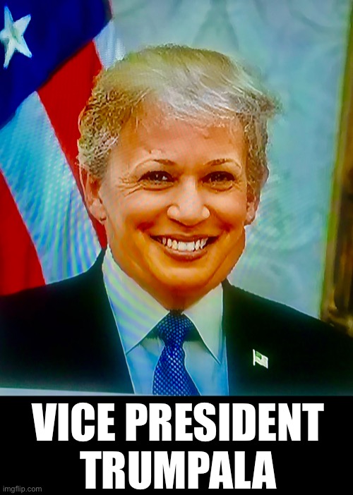 Joe’s current VP | VICE PRESIDENT
TRUMPALA | image tagged in vp trumpala,in his mind | made w/ Imgflip meme maker