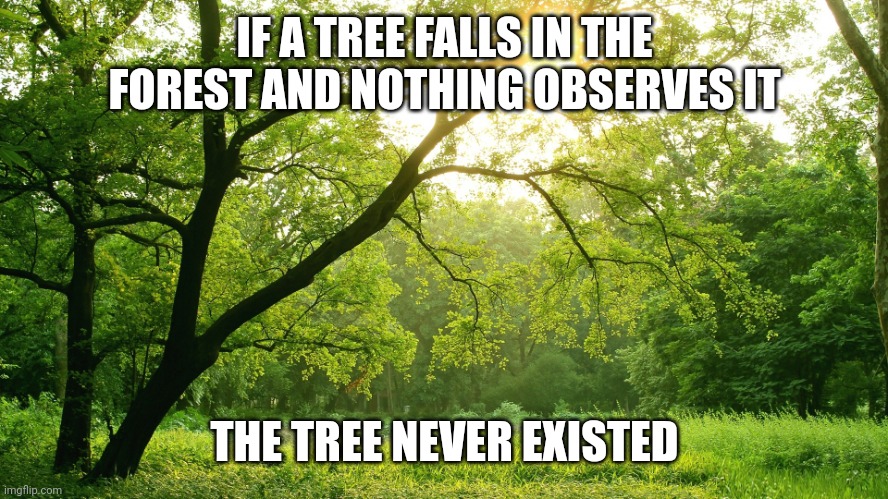 Forest | IF A TREE FALLS IN THE FOREST AND NOTHING OBSERVES IT; THE TREE NEVER EXISTED | image tagged in forest | made w/ Imgflip meme maker