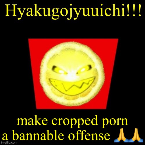 hyaku | make cropped porn a bannable offense 🙏🙏 | image tagged in hyaku | made w/ Imgflip meme maker