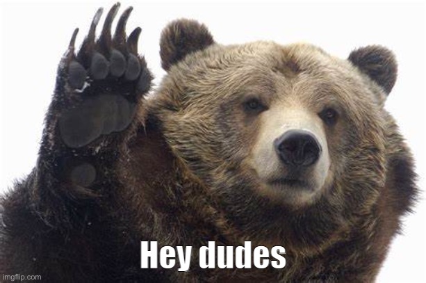 Seems like I was invited to moderate here. | image tagged in bear hey dudes | made w/ Imgflip meme maker