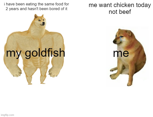 [insert title here] | i have been eating the same food for
2 years and hasn't been bored of it; me want chicken today
not beef; my goldfish; me | image tagged in memes,buff doge vs cheems | made w/ Imgflip meme maker