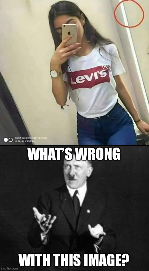 What’s wrong | WHAT’S WRONG; WITH THIS IMAGE? | image tagged in i don t see what s wrong with that hitler,selfie,comment | made w/ Imgflip meme maker