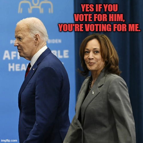 The Scheming, Laughing Hyena | YES IF YOU VOTE FOR HIM, YOU'RE VOTING FOR ME. | image tagged in memes,kamala harris,vote,joe biden,choose,me | made w/ Imgflip meme maker