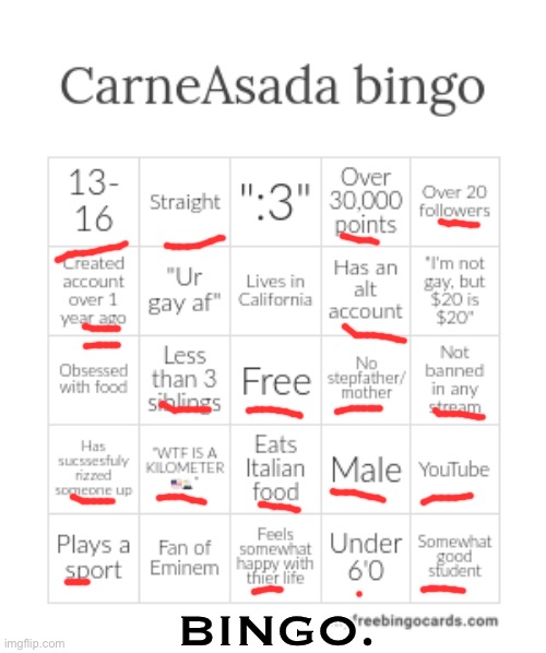 CarneAsada bingo | BINGO. | image tagged in carneasada bingo | made w/ Imgflip meme maker