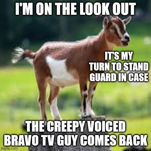 Bravo TV | I'M ON THE LOOK OUT; IT'S MY TURN TO STAND GUARD IN CASE; THE CREEPY VOICED BRAVO TV GUY COMES BACK | image tagged in creepy guy,media,new zealand,tv,creep,pervert | made w/ Imgflip meme maker