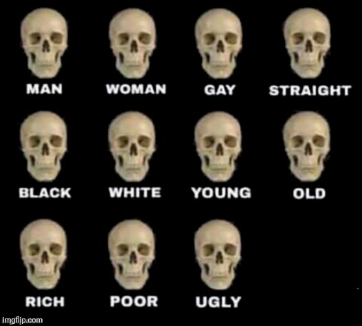 idiot skull | image tagged in idiot skull | made w/ Imgflip meme maker