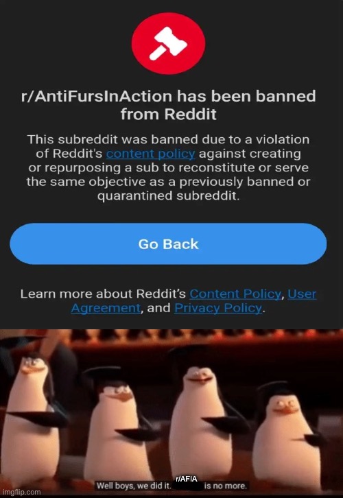 WE DID IT BOYS | r/AFIA | image tagged in well boys we did it blank is no more,anti furry,furry,reddit,banned | made w/ Imgflip meme maker
