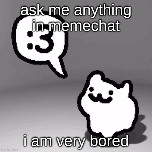 :3 cat | ask me anything in memechat; i am very bored | image tagged in 3 cat | made w/ Imgflip meme maker