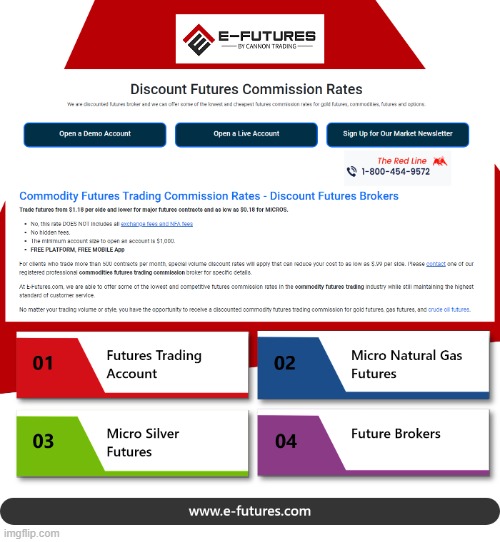 Futures Trading Account | image tagged in futures trading account | made w/ Imgflip meme maker