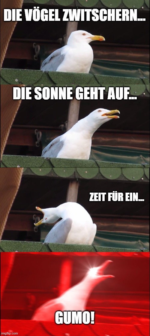 8wp4mz.jpg