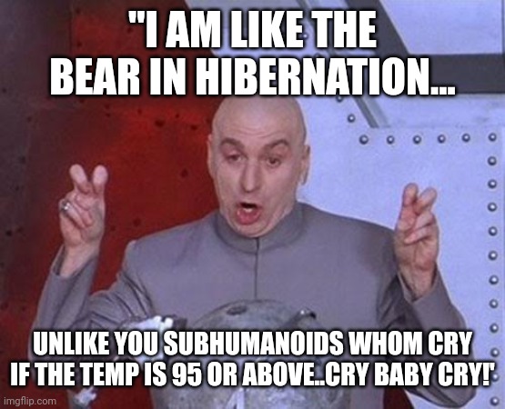 Go To Fox, Ok if you think it's hot! | "I AM LIKE THE BEAR IN HIBERNATION... UNLIKE YOU SUBHUMANOIDS WHOM CRY IF THE TEMP IS 95 OR ABOVE..CRY BABY CRY!' | image tagged in memes,dr evil,laughing | made w/ Imgflip meme maker