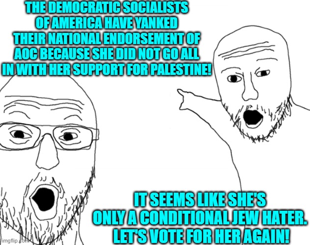 She may be all stupid, but apparently she's only half evil.  Finest kind of Democrat! | THE DEMOCRATIC SOCIALISTS OF AMERICA HAVE YANKED THEIR NATIONAL ENDORSEMENT OF AOC BECAUSE SHE DID NOT GO ALL IN WITH HER SUPPORT FOR PALESTINE! IT SEEMS LIKE SHE'S ONLY A CONDITIONAL JEW HATER.  LET'S VOTE FOR HER AGAIN! | image tagged in i don't think about you at all mad men | made w/ Imgflip meme maker