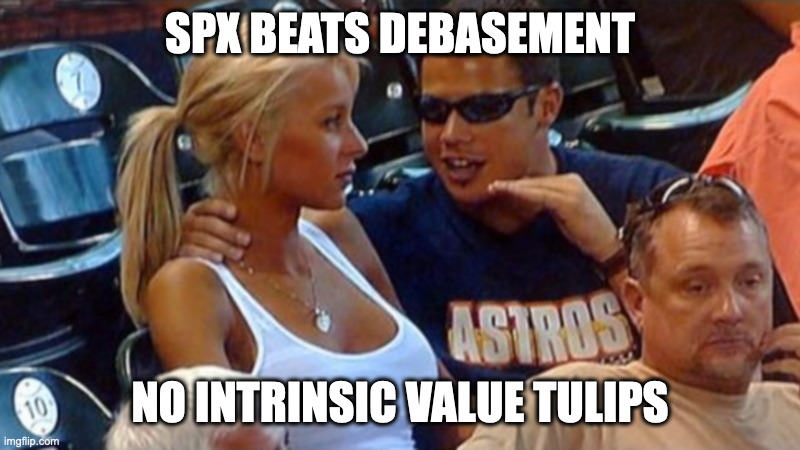 Explainer Bro | SPX BEATS DEBASEMENT; NO INTRINSIC VALUE TULIPS | image tagged in explainer bro | made w/ Imgflip meme maker