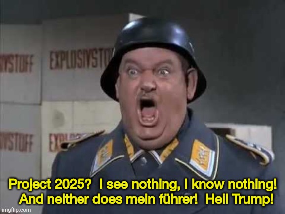Nobody knows anything! | Project 2025?  I see nothing, I know nothing!
  And neither does mein führer!  Heil Trump! | image tagged in sgt schultz shouting | made w/ Imgflip meme maker